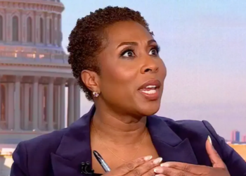 CNN host ensnares GOP analyst in trap on ICE policy: ‘You’re by definition admitting’