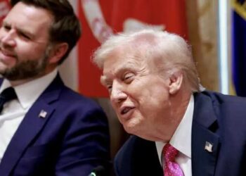 Trump loves the ‘gruesome pictures’ of ICE brutality: former adviser