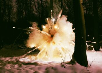 Meteorologist Warns That Winter Storm Means Trees Are About to Start Exploding