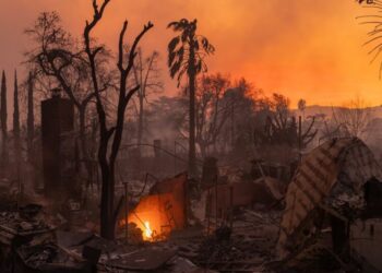 A Chance to Learn What Urban Fire Does to the Body