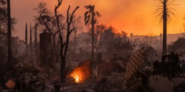 A Chance to Learn What Urban Fire Does to the Body