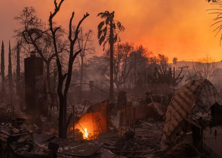 A Chance to Learn What Urban Fire Does to the Body