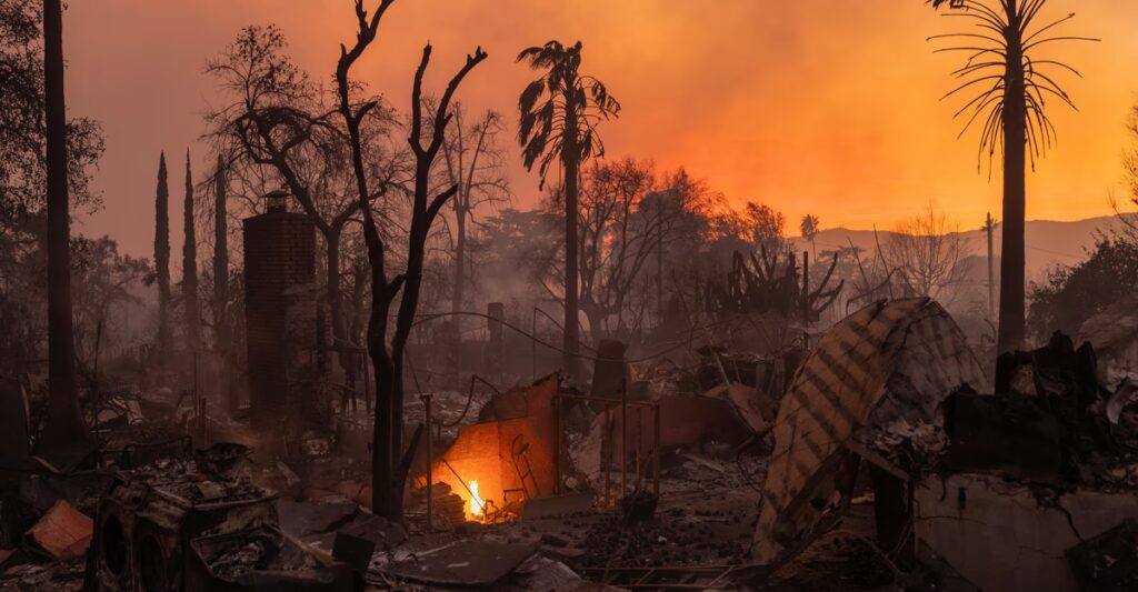 A Chance to Learn What Urban Fire Does to the Body