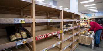 As Winter Storm Fern barrels in, all eyes are on the Weather Channel. Its CEO is charting the company’s next big forecast: growth