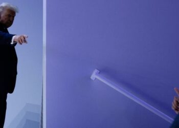 ‘We Are Learning to Bully Back’