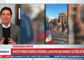 Ex-Trump official suggests man fatally shot by federal agents was ‘looking for trouble’