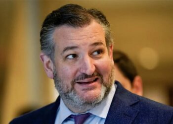 Leaked audio reveals Ted Cruz hammered Trump admin and JD Vance: ‘You’re going to lose!’