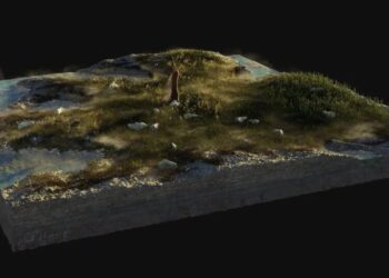 Scientists Intrigued by Unfamiliar Life Form