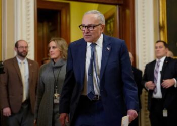 Dem lawmakers revolt as stage set for shutdown standoff: ‘Not giving ICE another dime’