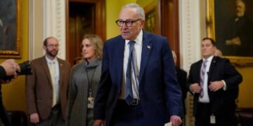 Dem lawmakers revolt as stage set for shutdown standoff: ‘Not giving ICE another dime’