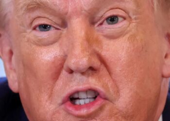 Trump doubles down on threats to Minnesota in wake of DHS shooting: ‘criminal cover up!’