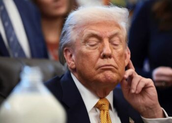 Trump gaffe sees him struggle to remember word Alzheimer’s: ‘What do they call it?’