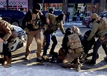 ICE agents were ‘counting bullet wounds’ in Pretti’s body instead of giving aid: doctor