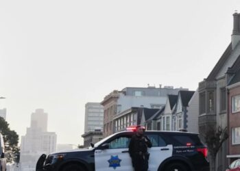 Mountain lion saunters through San Francisco’s posh Pacific Heights neighborhood before capture