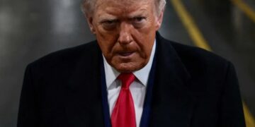 ‘Bloodthirsty’: MAGA media calls for violence after nurse’s killing leaves analysts aghast