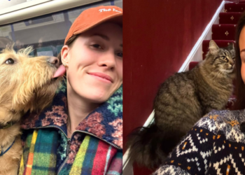 This millennial quit her corporate 9-to-5 to pet sit—she’s now living rent-free, saving thousands a month, while earning $70 per day