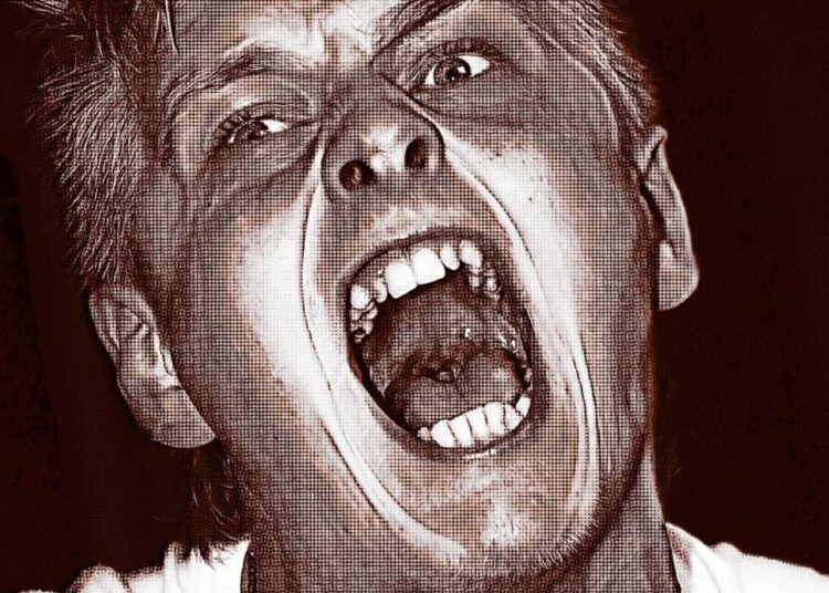 Crypto Bros in Meltdown as Bitcoin Crashes