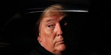 The Markets Are Getting Used to Trump