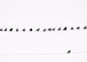 The Upside of Not Fitting In