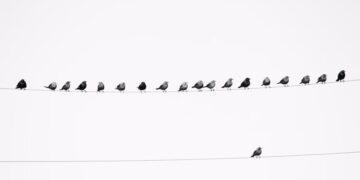 The Upside of Not Fitting In