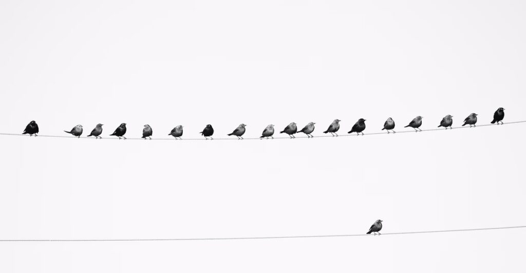 The Upside of Not Fitting In