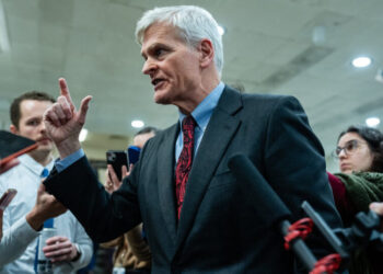 Trump Backs a Potential Primary Challenger to Bill Cassidy, a G.O.P. Senator