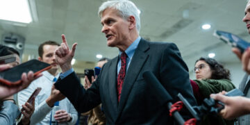 Trump Backs a Potential Primary Challenger to Bill Cassidy, a G.O.P. Senator