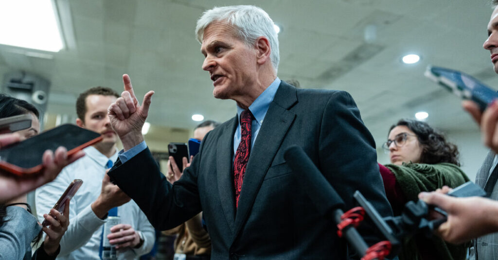 Trump Backs a Potential Primary Challenger to Bill Cassidy, a G.O.P. Senator