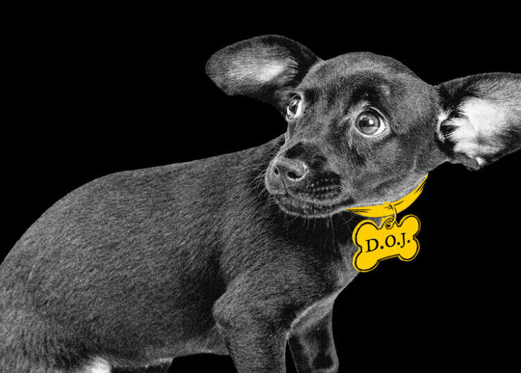 For Trump, Justice Means Vengeance