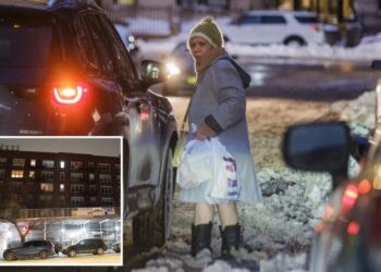 NYC mom who kept her teen twins captive suffered from schizophrenia: police sources