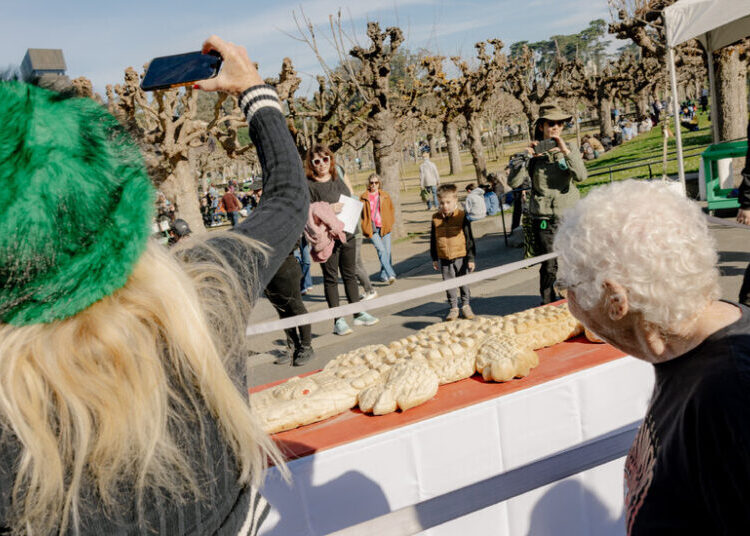 See You Later, Claude: San Francisco Mourns Its Beloved Alligator