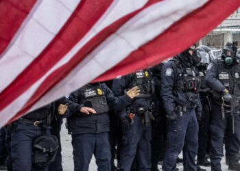 An Old Theory Helps Explain What Happened to Renee Good