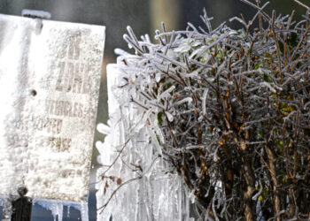 Snow, Seldom Seen in the South, Comes to Parts of Georgia