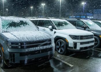 Rare Snowfall in Parts of the South Is Fun but Fleeting