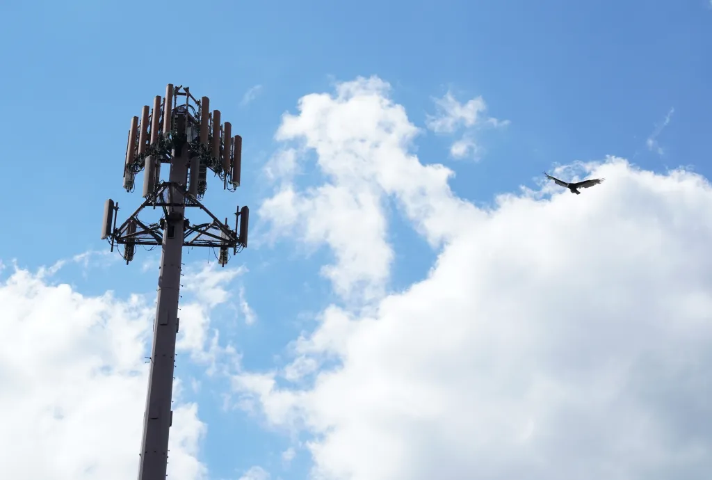 A general view of a bird flying near a cell phone antenna tower as seen from the Garden State Parkway in New Jersey on August 30, 2020. 