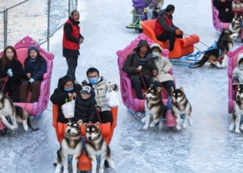 China’s Population Shrinks Again as Policies Fail to Reverse Decline