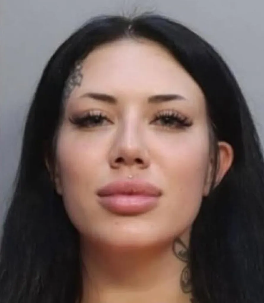 Lantry documented the pair's journey on Instagram and shared the on-board confrontation with American Airlines officials during the alleged drunken outburst.