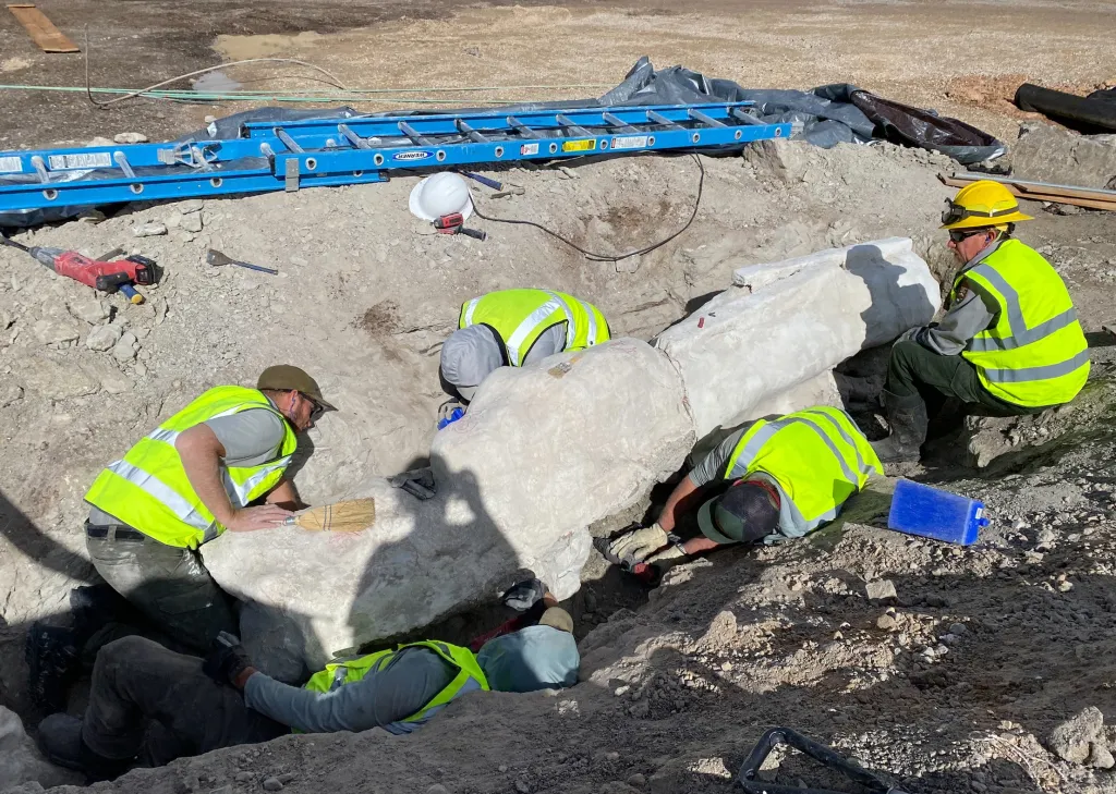 NPS staff excavate dinosaur fossils from a trench in a parking lot.