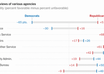 Why Polls About the Killing of Renee Good Are So Hard to Parse