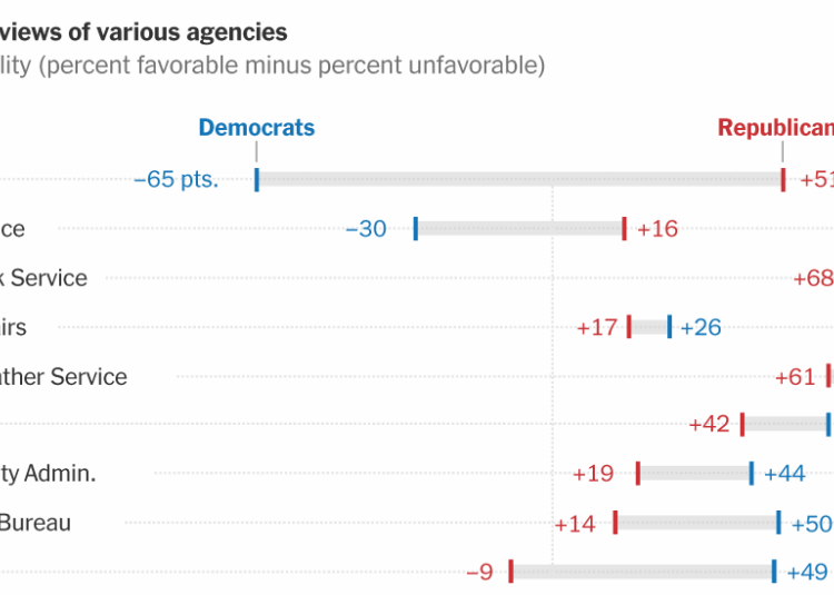 Why Polls About the Killing of Renee Good Are So Hard to Parse