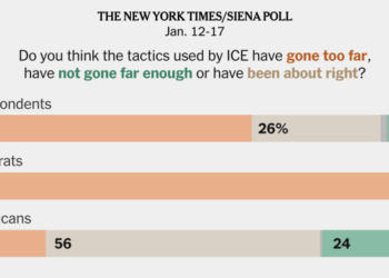 Voters Are Split on Deportations but Disapprove of ICE, Poll Finds