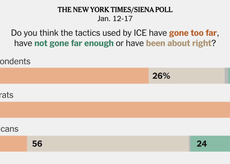 Voters Are Split on Deportations but Disapprove of ICE, Poll Finds