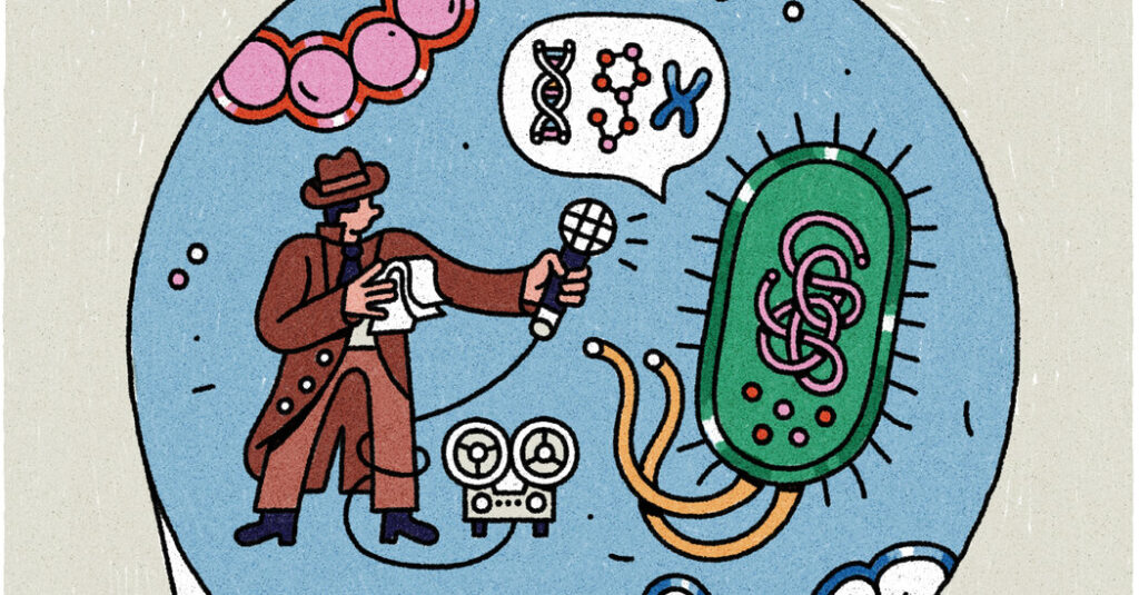 A Bite-Size Column About Delight and Wonder in Science