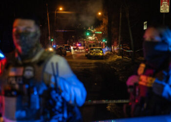 In Court Record, Official Describes Assault Before ICE Agent Shot Man in Minneapolis