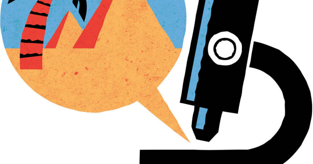 Travel’s Latest Buzzword: ‘Microvacations’