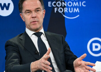 Greenland Shouldn’t Overshadow Ukraine, NATO Chief Says