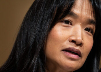 T.S.A. Leader Defends Working With ICE to Congress