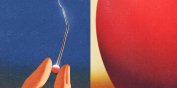 America Has Given Up on the Cold War Against China