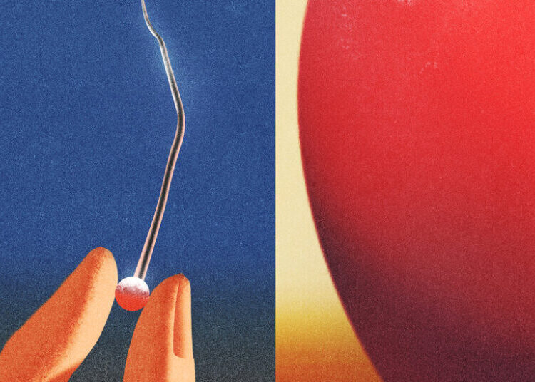 America Has Given Up on the Cold War Against China