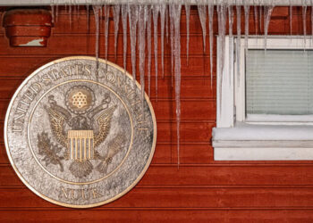 Donald Trump, Live From Davos